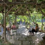 Residence Hall garden with trees, plants, chairs, tables, and students studying